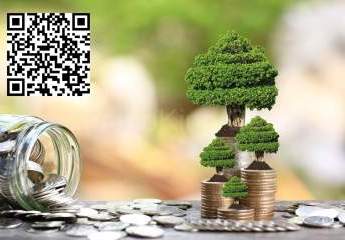 475488-Vorschaubild3