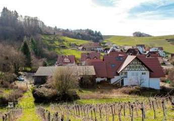 401552-Vorschaubild2
