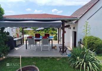 467981-Vorschaubild4