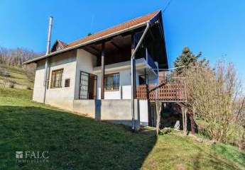 471318-Vorschaubild2