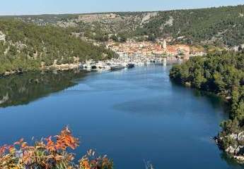 476241-Vorschaubild2