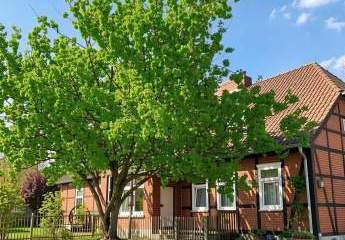 482134-Vorschaubild2