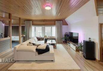 482134-Vorschaubild4