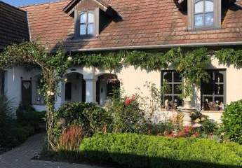 484083-Vorschaubild3