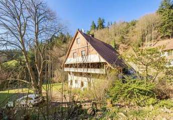 485814-Vorschaubild2