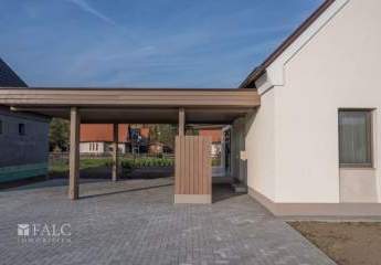 493838-Vorschaubild4