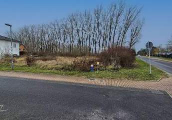 420073-Vorschaubild4