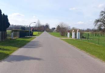 420270-Vorschaubild4