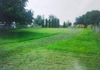 Ihr Wochenendparadies in Mehrow – Grundstück mit Bungalow in Bestlage