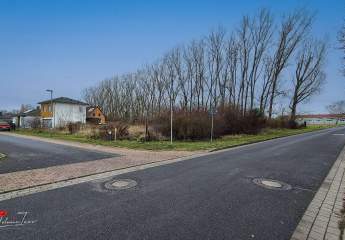 423994-Vorschaubild3