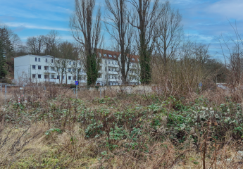 423996-Vorschaubild4