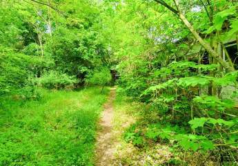 Ehemaliges Fischereigrundstück an der Havel – Anlagechance in Bestlage