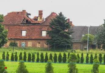 402134-Vorschaubild4