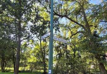 449927-Vorschaubild3