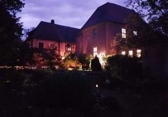 422234-Vorschaubild4