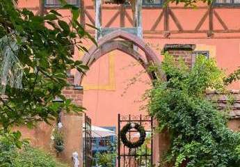 422237-Vorschaubild4