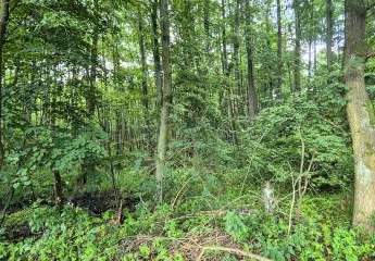 Tiny House Traum Naturgrundstück mit Biotopanteil