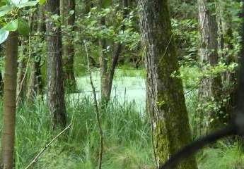 436293-Vorschaubild4