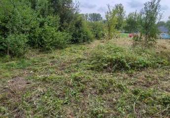 468722-Vorschaubild4