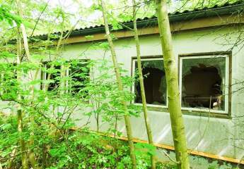 437612-Vorschaubild4