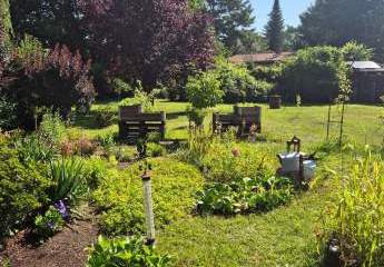 476937-Vorschaubild3