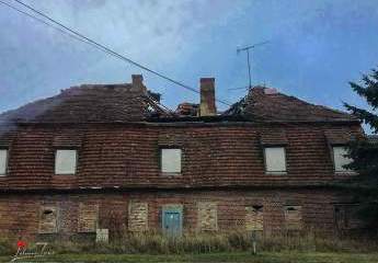 402134-Vorschaubild3