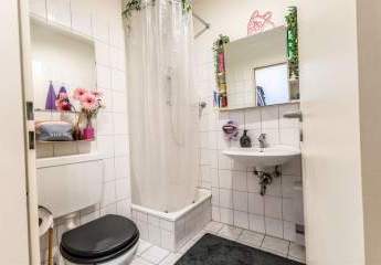 483901-Vorschaubild3