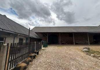 448552-Vorschaubild4