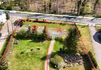 428611-Vorschaubild3