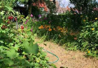 417872-Vorschaubild4