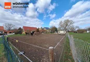 483658-Vorschaubild3