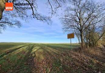 Sichern sie sich eins der letzten Baugrundstücke mit Panoramablick in Zossen. Voll erschlossen !!!