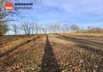 483753-Vorschaubild4