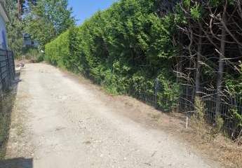 484949-Vorschaubild2