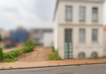 442813-Vorschaubild2