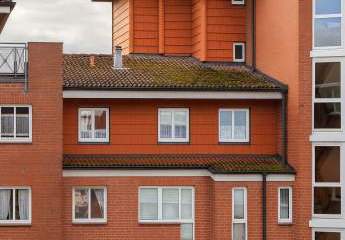 450929-Vorschaubild2