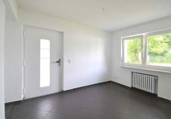 427535-Vorschaubild2