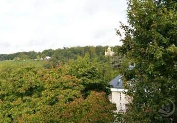 429171-Vorschaubild2