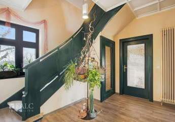 465080-Vorschaubild3