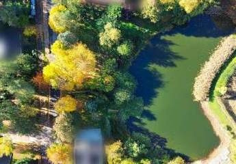 465230-Vorschaubild2