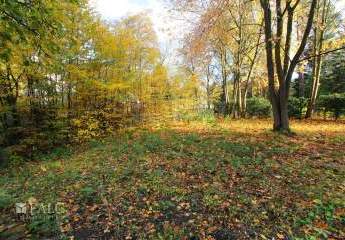 465230-Vorschaubild4