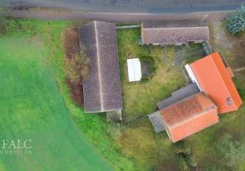 465316-Vorschaubild3