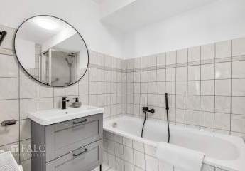 442762-Vorschaubild4