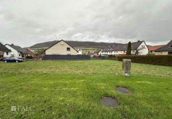 423810-Vorschaubild4