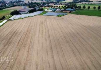 436088-Vorschaubild2