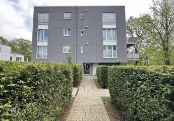 442406-Vorschaubild2