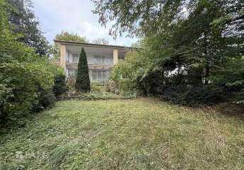 445065-Vorschaubild3