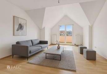 460981-Vorschaubild3