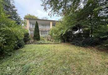 445065-Vorschaubild3