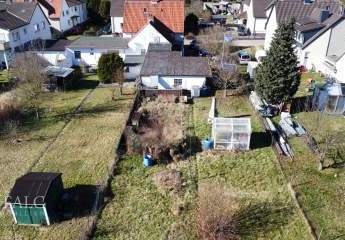 476969-Vorschaubild2